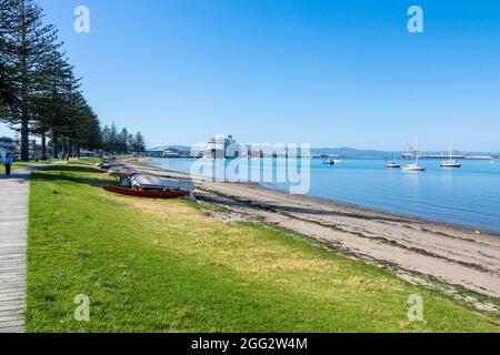 Coronation Park Und Kreuzfahrtterminal In Tauranga The Bay Of Plenty Tauranga Neuseeland Stockfoto