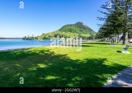 Mount Maunganui Und Krönungspark In Tauranga The Bay Of Plenty Tauranga Neuseeland Stockfoto