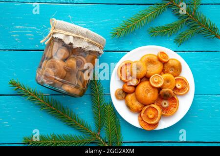 Marinierte Pilze, orangefarbene Milchkappe oder falsche Safranmilchkappe, Lactarius-Deterrimus im Glas und frisch gepflückte Pilze auf dem Teller, blauer Hintergrund. Stockfoto