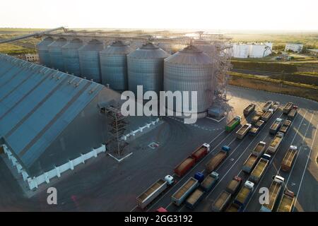 Getreideterminals des modernen Handelshafens. Silos zur Lagerung von Getreide in Strahlen der untergehenden Sonne. In Port h warten viele LKWs auf das Entladen Stockfoto