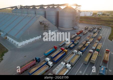 Getreideterminals des modernen Handelshafens. Silos zur Lagerung von Getreide. Viele LKWs warten in der Schlange auf das Entladen im Hafenhafen, Draufsicht von qu Stockfoto