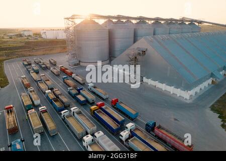 Getreideterminals des modernen Handelshafens. Silos zur Lagerung von Getreide in Strahlen der untergehenden Sonne. In Port h warten viele LKWs auf das Entladen Stockfoto