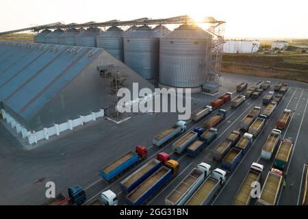 Getreideterminals des modernen Handelshafens. Silos zur Lagerung von Getreide in Strahlen der untergehenden Sonne. In Port h warten viele LKWs auf das Entladen Stockfoto