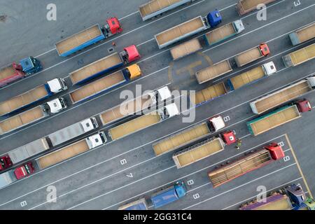 Draufsicht von einem Quadcopter auf mit Getreide beladenen Lastwagen. Im Hafen warten viele LKWs auf das Entladen. Konzept für Logistik und Fr. Stockfoto