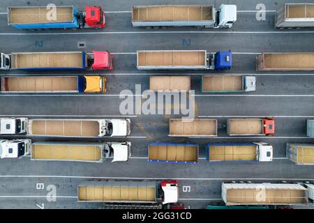 Draufsicht von einem Quadcopter auf mit Getreide beladenen Lastwagen. Im Hafen warten viele LKWs auf das Entladen. Konzept für Logistik und Fr. Stockfoto