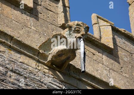 Gargoyle auf St. Nichola Episcopal mittelalterlichen Kirchturm Middle Littleton aus Blue lias Stein aus dem 12. Jahrhundert erbaut, umgebaut 13. Jahrhundert Stockfoto