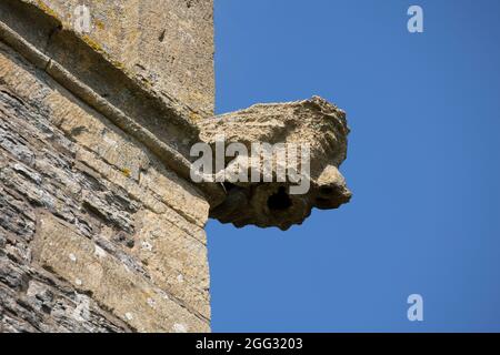 Gargoyle auf St. Nichola Episcopal mittelalterlichen Kirchturm Middle Littleton in Blue lias Stein aus dem 12. Jahrhundert gebaut, umgebaut 13Century Stockfoto