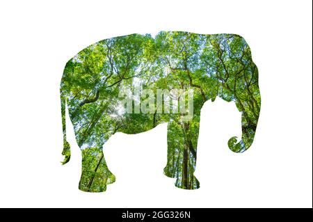 World Wildlife Day Wald Silhouette in Form eines wilden Tier Tierwelt und Waldschutz Konzept Stockfoto