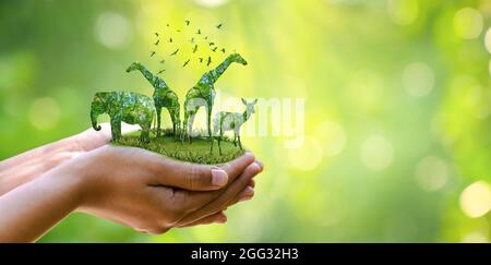 Wald Silhouette in Form einer wilden Tier Tierwelt und Waldschutz Konzept Stockfoto