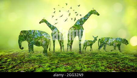 Wald Silhouette in Form einer wilden Tier Tierwelt und Waldschutz Konzept Stockfoto