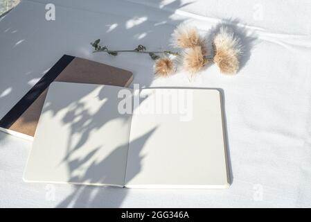 Moderne Sommer Schreibwaren Stillleben. Leeres Tagebuch, Notizblock-Modell mit floralem Element im Sonnenlicht. Lange Schatten des Sonnenuntergangs auf den offenen Seiten und weiter Stockfoto