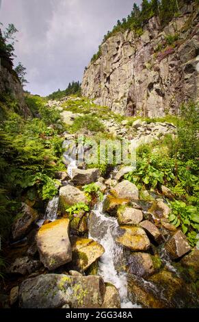 Flussmündung der Elbe im Riesengebirge und Wappen der Städte entlang dieses Flusses, Nationalpark Riesengebirge in der Tschechischen Republik Stockfoto