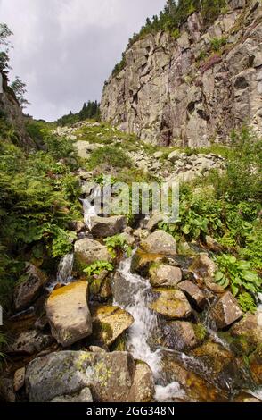 Flussmündung der Elbe im Riesengebirge und Wappen der Städte entlang dieses Flusses, Nationalpark Riesengebirge in der Tschechischen Republik Stockfoto