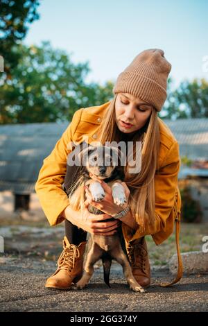 Pet Love. Im Herbstpark spielt eine Freiwillige mit obdachlosen Welpen. Authentische Momente der Freude Mädchen spielen mit streunenden Hunden. Konzept von Stockfoto