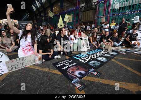 Mitglieder des Extinction Rebellion während eines Protestes am Smithfield Market im Zentrum von London. Bilddatum: Samstag, 28. August 2021. Stockfoto