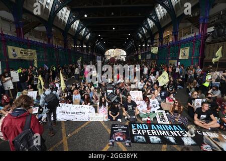 Mitglieder des Extinction Rebellion während eines Protestes am Smithfield Market im Zentrum von London. Bilddatum: Samstag, 28. August 2021. Stockfoto