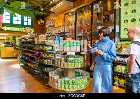 Amsterdam, Holland, Touristen, die Marihuana und legale Drogerien besuchen, Naturprodukte, Cannabis Shop Stockfoto