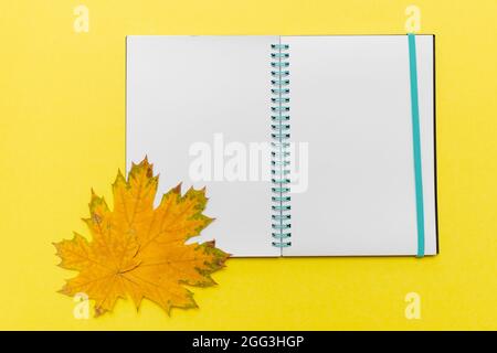 Leeres offenes Notizbuch und gelbe Ahornblätter auf gelbem Hintergrund. Herbstsymbol. Hallo oktober Konzept. Zurück zum Schulkonzept. Geschäftskonzept Stockfoto