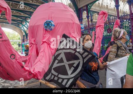 London, Großbritannien. August 2021. Der diesjährige Animal Rights march von Animal Rebellion ist Teil von Extinction Rebellion's Impossible Rebellion. Mehrere Tausend marschierten vom Smithfield Market zu kurzen Kundgebungen im Hauptquartier von Unilever, Cargill, der Schlachthöfe und Fleischfabriken führt und der Marine Stewardship Council, der sich an der brutalen Fischereiindustrie beteiligt, bevor er nach Smithfield zurückkehrte. Peter Marshall/Alamy Live News Stockfoto