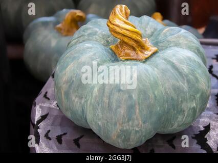 Dekorativer Halloween oder Thanksgiving-Kürbis mit verdrehtem Stiel auf einem Tisch sitzend mit glänzender Fledermaus-Tischdecke und anderen ähnlichen Kürbissen, die darin verschwommen sind Stockfoto