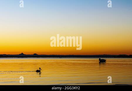 Pelican schwimmt über flüssiges Goldwasser mit einem Wassergraben, der weiter unter dem Himmel festgemacht ist und sich bei Sonnenuntergang hinter vulkanischen Bergen in der Dista von orange nach blau verschmilzt Stockfoto