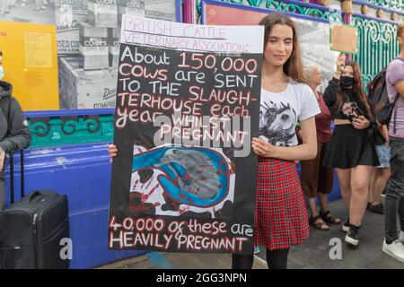 London, Großbritannien. August 2021. Ein junger Demonstrant hält ein Schild, das das Schlachten trächtiger Kühe verurteilt, und zitiert Statistiken der British Cattle Veterinary Association. Die Demonstration, die in der Nähe des Smithfield Market stattfand, lenkt die Aufmerksamkeit auf ethische Bedenken in der Fleischindustrie. Hunderte von Tierschützern, organisiert von der Gruppe Animal Rebellion, marschieren durch London, um ein Ende der Ausbeutung von Tieren zu fordern. Penelope Barritt/Alamy Live News Stockfoto