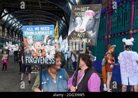 Während der Demonstration halten Demonstranten Plakate gegen Milchprodukte auf.der Tieraufstand von Extinction Rebellion veranstaltete einen Protest auf dem Smithfield Meat Market in London, in dem Gerechtigkeit für Tiere im gesamten Vereinigten Königreich gefordert wurde und auch der Tierausbeutung ein Ende gesetzt wurde. (Foto von Dave Rushen / SOPA Images/Sipa USA)