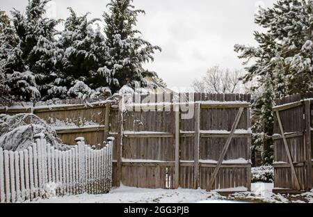 Schnee auf einem Zaun, der den Zaun mit offenem Tor und immergrünen Bäumen durchschneidet Stockfoto