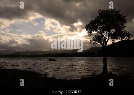 Silhouette von Boot und Baum auf See Stockfoto