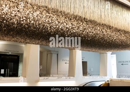 Above and Beyond, eine Kunstinstallation zu Ehren der Opfer des Vietnamkriegs, die im Harold Washington Library Center in Chicago, Illinois, USA, ausgestellt wird. Stockfoto