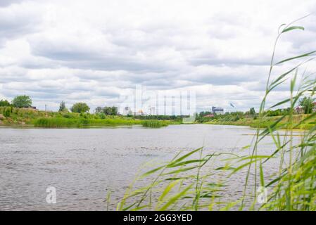Schilf am ishim-Fluss in Kasachstan Stockfoto