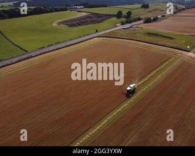 Galashiels, Großbritannien. August 2021. Caddonlee Farm, Clovenfords, Galashiels, Großbritannien Samstag, 28. August 2021. Die Bauern an den schottischen Grenzen hatten nach dem jüngsten trockenen Wetter eine Stoßzeit bei der Ernte. Die Prognose für weitere trockene Tage in der Zukunft verheißt gute Vorzeichen für die letzte Getreideernte, die noch zu ernten ist. ( Kredit: Rob Gray/Alamy Live News Stockfoto