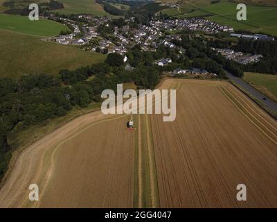 Galashiels, Großbritannien. August 2021. Caddonlee Farm, Clovenfords, Galashiels, Großbritannien Samstag, 28. August 2021. Die Bauern an den schottischen Grenzen hatten nach dem jüngsten trockenen Wetter eine Stoßzeit bei der Ernte. Die Prognose für weitere trockene Tage in der Zukunft verheißt gute Vorzeichen für die letzte Getreideernte, die noch zu ernten ist. ( Kredit: Rob Gray/Alamy Live News Stockfoto