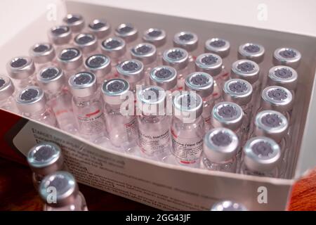 Sinovac-Coronavirus-Impfstoff und Spritze in der Flasche oder im Fläschchen zur Injektion in die Hände des Arztes. Covid-19, SARS-Cov-2-Prävention Stockfoto