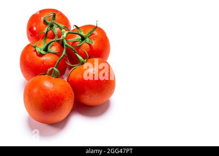 Foto von fünf nassen roten natürlichen Tomaten auf weißem Hintergrund.das Foto hat Platz für Kopien und ist im horizontalen Format aufgenommen. Stockfoto