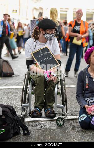 London, Großbritannien. August 2021. Ein Protestant in einem Rollstuhl, der ein Plakat mit der Aufschrift ‘I can't stand Ecocide' während der Tieraufstand-Demonstration von Extinction Rebellion für Tiergerechtigkeit im gesamten Vereinigten Königreich hält, die ein Ende aller Tierausbeutung fordert. Kredit: SOPA Images Limited/Alamy Live Nachrichten Stockfoto