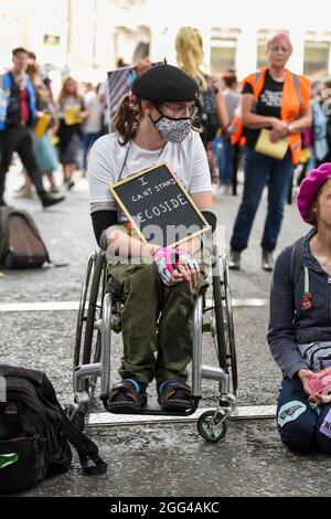 London, Großbritannien. August 2021. Ein Protestant in einem Rollstuhl, der ein Plakat mit der Aufschrift ‘I can't stand Ecocide' während der Tieraufstand-Demonstration von Extinction Rebellion für Tiergerechtigkeit im gesamten Vereinigten Königreich hält, die ein Ende aller Tierausbeutung fordert. (Foto von Dave Rushen/SOPA Images/Sipa USA) Quelle: SIPA USA/Alamy Live News Stockfoto