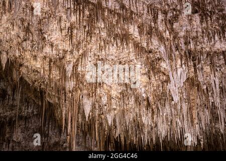 Decke aus Stalaktiten, die aus der Kammer in Carlsbad-Höhlen hängen Stockfoto