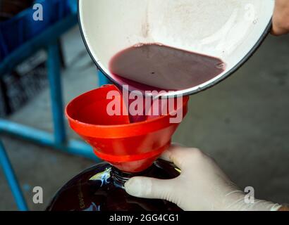 Weinlese. Der während des Pressvorgangs gewonnene Traubensaft wird in einen Gärbehälter gegossen. Der Herbst ist die Zeit der Weinlese und wi Stockfoto