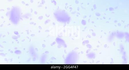 Violette Blütenblätter fallen herunter. Noble romantische Blumen fallen regen. Fliegendes Blütenblatt auf blauem Himmel breiten Hintergrund. Liebe, Romantik Konzept. Reizende Hochzeitseinladung. Stock Vektor