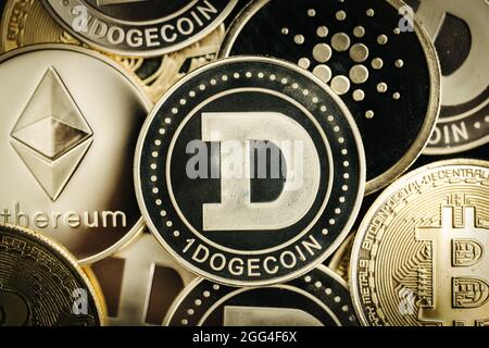 Dogecoin-Meme-Münze. Nahaufnahme von Kryptowährungen, zusätzlich zu anderen Kryptowährungsmünzen Stockfoto