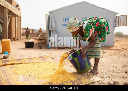 Traore Jeneba (20) wäscht und trocknet Mais vor ihrem Zelt in Nouna, Burkina Faso. Ihre Familie floh nach der Entführung ihres Schwiegervaters im Nordosten des Landes vor Gewalt und Unsicherheit und sieht sich hier nun vor Hunger und Not. Stockfoto