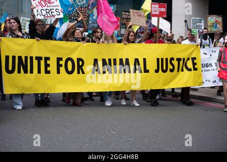 London, Großbritannien. August 2021. Aktivisten marschieren mit einem großen Banner mit der Aufschrift „vereinigt euch für Tiergerechtigkeit“ auf dem Tierrechtsprotest des Extinction Rebellion. Der Tieraufstand von Extinction Rebellion veranstaltete im Zentrum von London einen Protest, in dem Gerechtigkeit für Tiere im gesamten Vereinigten Königreich gefordert wurde und auch der Tierausbeutung ein Ende gesetzt wurde. Kredit: SOPA Images Limited/Alamy Live Nachrichten Stockfoto