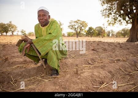 Mahammoud Traore (75) unterstützt eine 21-köpfige Familie durch seine Landwirtschaft im Dorf Dougouninkoro, Mali. Aber der Klimawandel hat die Wettermuster in den letzten Jahren beeinflusst und er konnte nicht so viel wachsen wie früher. Jetzt gehen die Lebensmittelgeschäfte seiner Familie immer aus, bevor er seine neue Ernte ernten kann. Daher gibt es jedes Jahr ein paar Monate, in denen die Familie Hunger hat und sie oft Schulden machen müssen, um Lebensmittel zu kaufen oder sich etwas zu leihen. Sahel-Krise 2021; Barouéli Cercle, Mali. Februar 22, 2021. Foto von Jake Lyell. Stockfoto