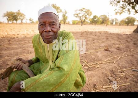 Mahammoud Traore (75) unterstützt eine 21-köpfige Familie durch seine Landwirtschaft im Dorf Dougouninkoro, Mali. Aber der Klimawandel hat die Wettermuster in den letzten Jahren beeinflusst und er konnte nicht so viel wachsen wie früher. Jetzt gehen die Lebensmittelgeschäfte seiner Familie immer aus, bevor er seine neue Ernte ernten kann. Daher gibt es jedes Jahr ein paar Monate, in denen die Familie Hunger hat und sie oft Schulden machen müssen, um Lebensmittel zu kaufen oder sich etwas zu leihen. Sahel-Krise 2021; Barouéli Cercle, Mali. Februar 22, 2021. Foto von Jake Lyell. Stockfoto