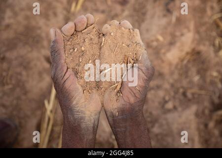 Mahammoud Traore (75) unterstützt eine 21-köpfige Familie durch seine Landwirtschaft im Dorf Dougouninkoro, Mali. Aber der Klimawandel hat die Wettermuster in den letzten Jahren beeinflusst und er konnte nicht so viel wachsen wie früher. Jetzt gehen die Lebensmittelgeschäfte seiner Familie immer aus, bevor er seine neue Ernte ernten kann. Daher gibt es jedes Jahr ein paar Monate, in denen die Familie Hunger hat und sie oft Schulden machen müssen, um Lebensmittel zu kaufen oder sich etwas zu leihen. Hier hält Herr Traore eine Handvoll des staubigen Bodens, den er jedes Jahr bewirtschaftet. Sahel-Krise 2021; Barouéli Cercle, Mali. Februar 22, 2021. Stockfoto