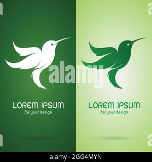 Vektorbild von Kolibri-Design auf dunkelgrünem Hintergrund und grünem Hintergrund, Logo, Symbol. Stock Vektor