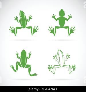 Vektor-Gruppe von Fröschen Design auf weißem Hintergrund. Amphibien. Tier. Leicht editierbare Vektorgrafik mit Ebenen. Wilde Tiere. Stock Vektor