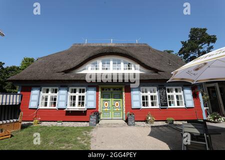 Prerow, Deutschland. August 2021. Eine alte Darß-Tür am Kulturkaten Kiek in. Die ursprünglichen Darss-Türen wurden zwischen 1790 und 1850 hergestellt, typisch sind geschnitzte Ornamente mit Bezug auf die Seefahrt oder die Natur. Die Türen gehörten zu den repräsentativen Häusern der damaligen Seeleute, die es zu einem gewissen Wohlstand gebracht hatten. Quelle: Bernd Wüstneck/dpa-Zentralbild/ZB/dpa/Alamy Live News Stockfoto