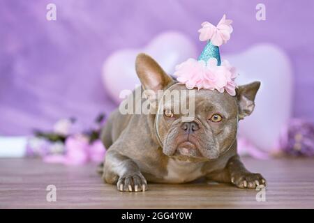 Französische Bulldog Hund mit Geburtstagsteil Hut vor verschwommenem rosa Hintergrund mit Blumen und herzförmigen Ballons Stockfoto